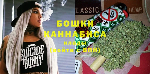 стаф Бородино