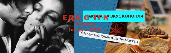 стаф Бородино