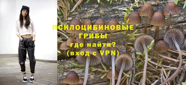 шишки Бронницы
