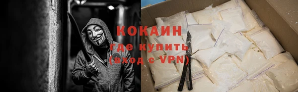стаф Бородино