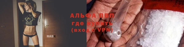 шишки Бронницы