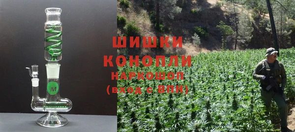 шишки Бронницы