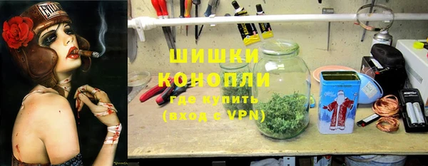 шишки Бронницы