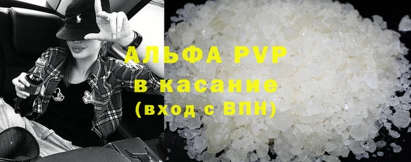 стаф Бородино