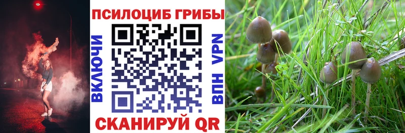 наркотики площадка официальный сайт Галлюциногенные грибы Psilocybine cubensis Новохопёрск